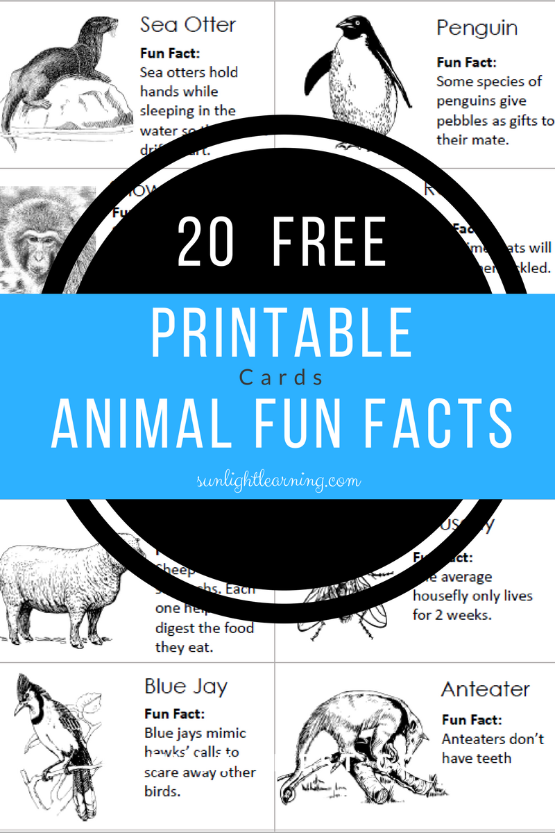 free-animal-fun-facts-cards-sunlight-learning