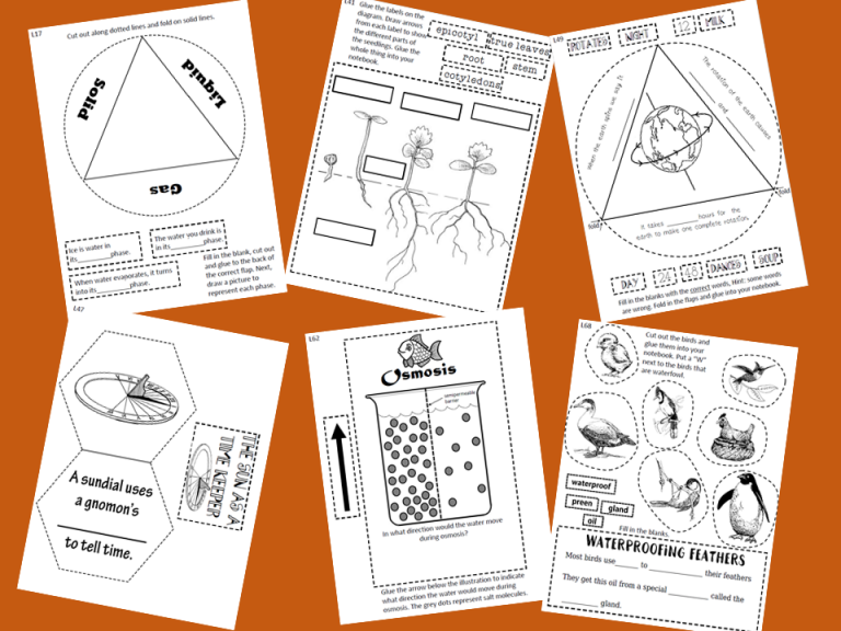 Science in The Beginning Interactive Notebook/Lapbook Sunlight Learning